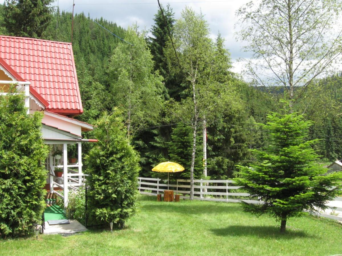 Podina Guest House Poiana Horea Exterior foto