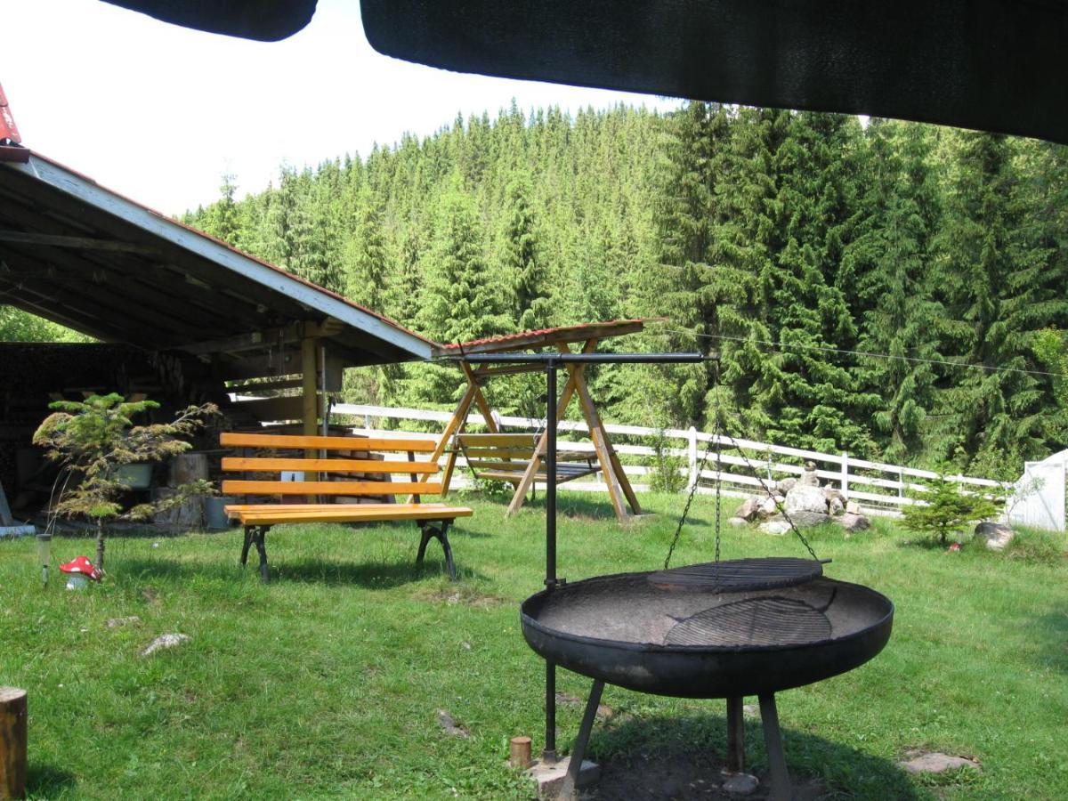 Podina Guest House Poiana Horea Exterior foto